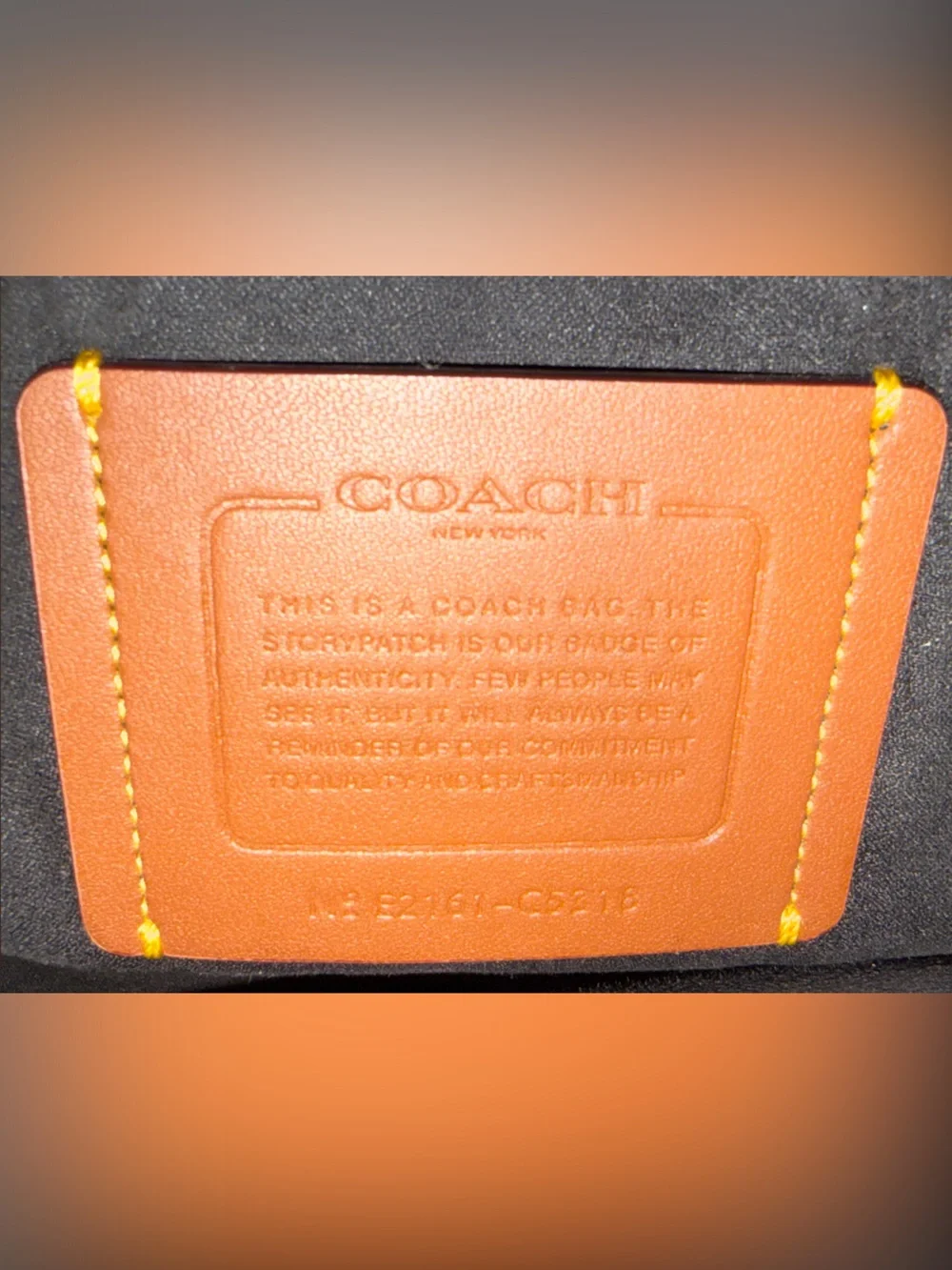 Coach elevate your